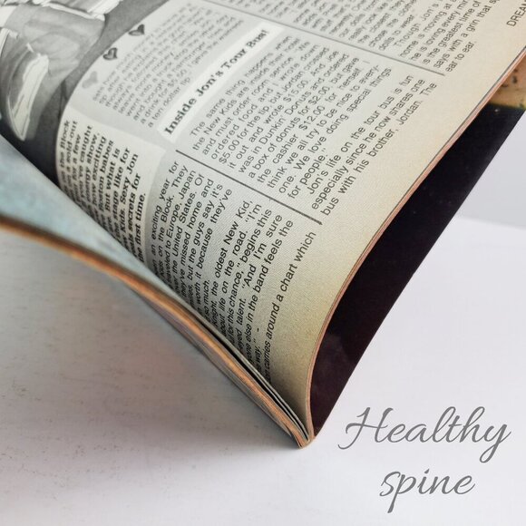 Dream Guys Magazine New Kids on Block Posters NKOTB Puett Grieco Abdul Oct. 1990 - Picture 10 of 11